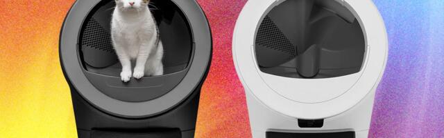 Which Automatic Litter Box Is Best? We Tested Litter-Robot’s Lineup