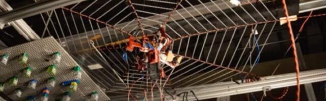 SpiderBot experiments hint at “echolocation” to locate prey