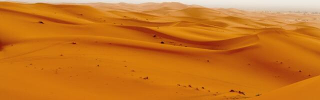 Sandboxes Are a Way Out of the Regulatory Sandstorm