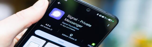 Is Signal a Security Risk to Your Business?