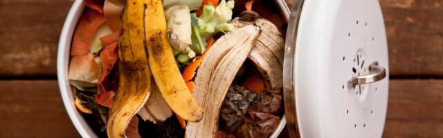 Get That Stinky Compost Off Your Counter. Here's Where Food Scraps Should Really Go