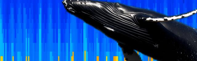 Bitcoin’s Short-Term Whales Now Hold $10.1B in Paper Gains. Is a Cash Out Next?
