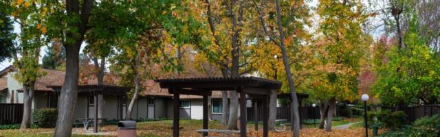 Another Bay Area city is banning gas-powered leaf blowers. But not everyone is ready for the switch to electric.