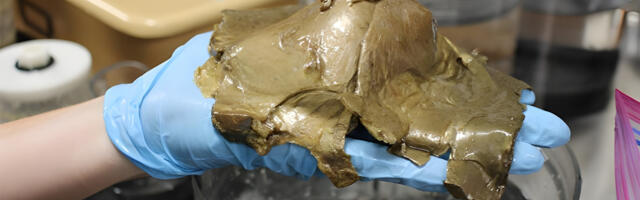 This Deep Sea Orb Find Baffled Scientists: 'It's Like The Beginning Of A Horror Movie