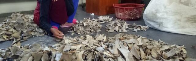 ATU among researchers turning CSI to curb the illegal trade of wildlife