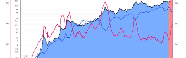 Bitcoin Short-Term Holders Now Possess Over 4M BTC, Shows Cycle Has More Room To Run: Van Straten
