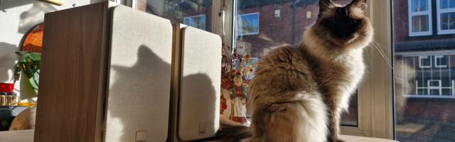 I tried my best not to love Dali's entry-level bookshelf speakers straight away, and my outright failure proves just how good they are