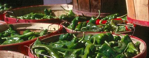 Hatch chile season: Mollie Stone’s markets mark 10th year of roasting events, deli menu