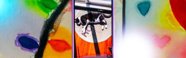 Gemini Live's New Camera Mode Can Identify Objects Around You. I Took It for a Spin