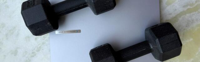 Asus ExpertBook P1 is the only laptop I probably won’t manage to break