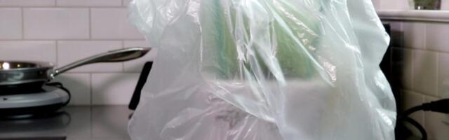 A Plastic Bag Can Keep Houseplants Alive While You're on Vacation. Here's How