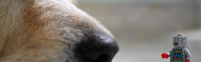 Роботы в дата-центре? Что им доверяют, и куда не пускают