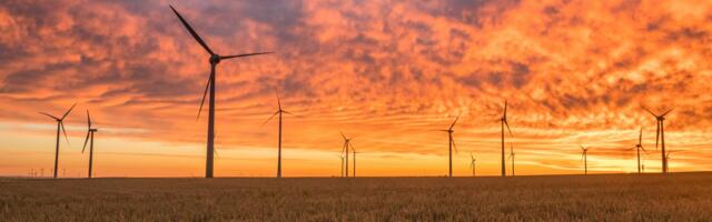Reach for renewable energy responsibly to maximise the benefits