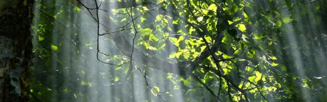Can Tech Innovation and Sustainability Coexist?