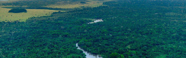 COVID-19 cleared the skies but also supercharged methane emissions