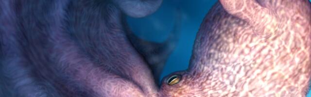 This 62-Foot ‘Kraken’ Octopus Terrorized Cretaceous Seas