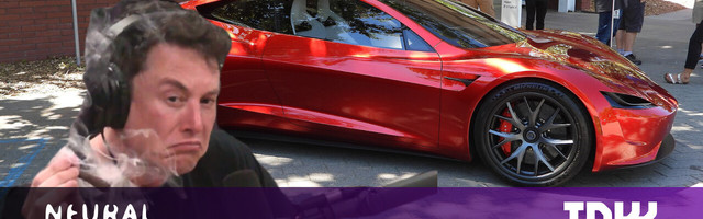 Will Tesla survive Elon Musk’s bumbling leadership?