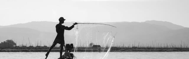 Phishing attacks: Five things to watch out for