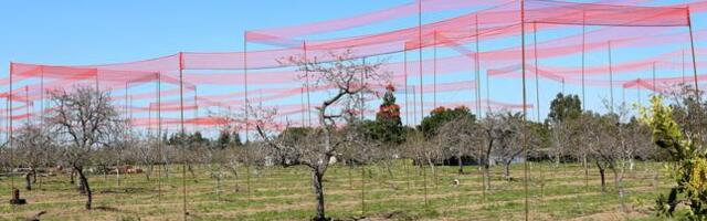 Los Gatos eases story pole restrictions for new developments