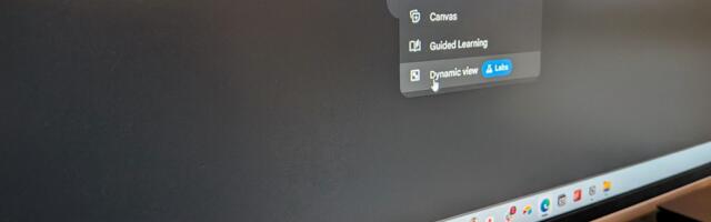 Gemini’s Dynamic View is great, just don’t use it for every prompt