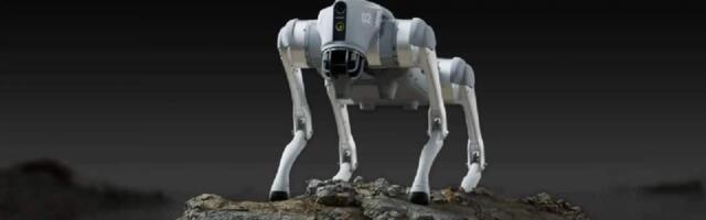 Unitree Go2: The Chinese AI robot dog that caused a stir at India’s AI Impact Summit