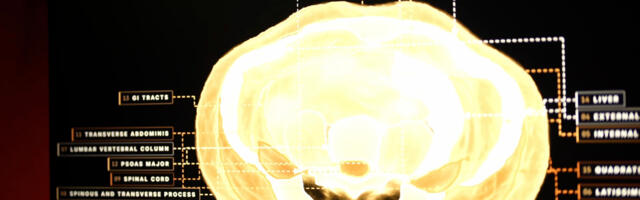 Midjourney, the AI image generator, is developing a full-body ultrasonic scanner