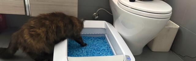 The PetSafe ScoopFree is a budget Litter-Robot alternative if your cat hates enclosed litter boxes