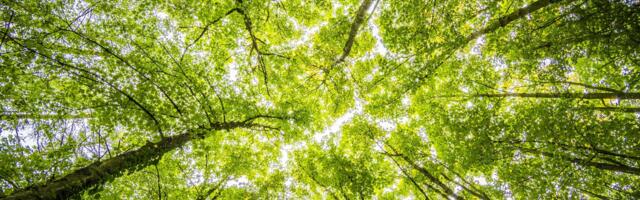 ESG net-zero promises won’t happen without democratizing data