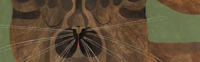 What makes a good cat?