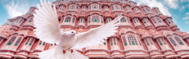 The Travel Industry Moments We’re Still Thinking About From 2024