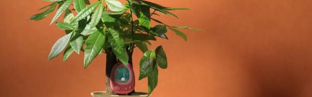 CES 2026: Senso Is a Smart Plant Sensor With an AI Tamagotchi