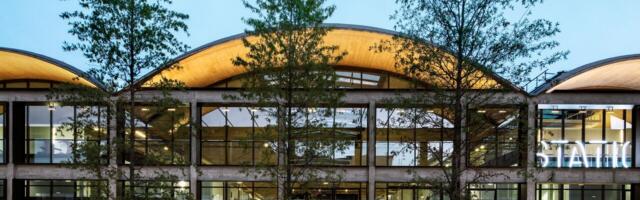 Hustle dies at 6pm: do French founders work hard enough?