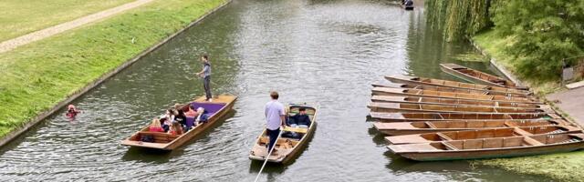 Google’s Impact on the Tours and Activities Industry