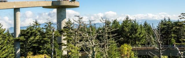 U.S. National Parks Had a Record Year. But There’s ‘No Public Announcement’ and Staffing Shortages