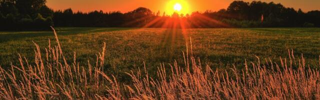 What Feed-In Tariffs Mean for Solar in Ireland