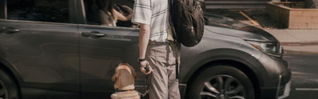 Helping service animals catch a ride