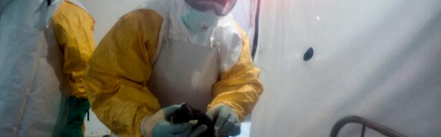 Ebola outbreak with uncommon strain erupts in Congo and Uganda; 65 deaths