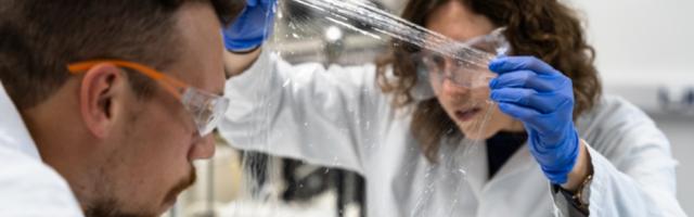 Bath-based sustainable biotech Kelpi raises £320K to develop bioplastic packaging