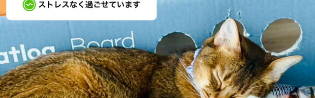 AI-powered Catlog smart collar now notifies you if your cat feels stressed