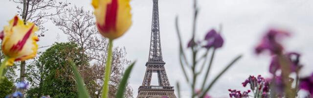 $119 Polymarket bet on Paris' weather turns into $21K after unusual temperature spike, sparking official probe