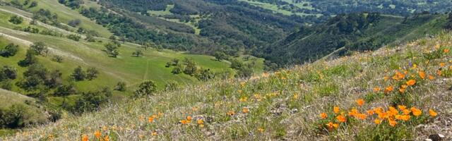 Apple co-founder to sell huge Carmel Valley ranch for $35 million to become public nature preserve