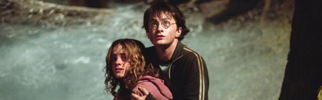 Se7en director David Fincher once pitched a creepy take on Harry Potter to Warner Bros.