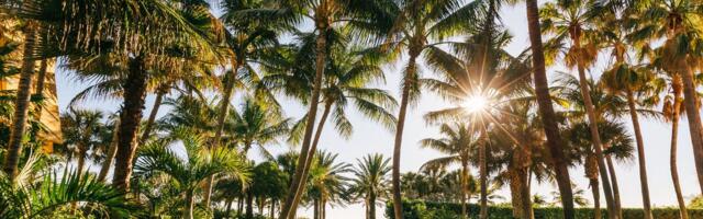 Best Internet Providers in Florida