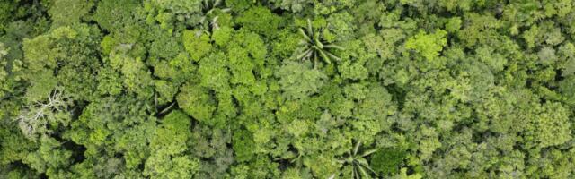 Airline Carbon Credits Are Running Out – It’s a $17 Billion Problem 