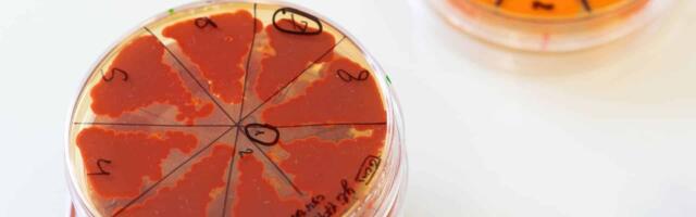 Paris’ baCta raises €7 million to use microorganisms as programmable molecular factories for industrial ingredients