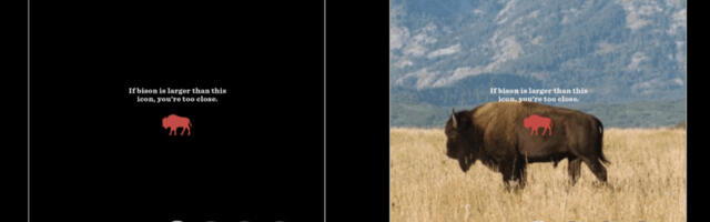 Jackson Hole’s new Instagram filter warns you when you’re dangerously close to wildlife