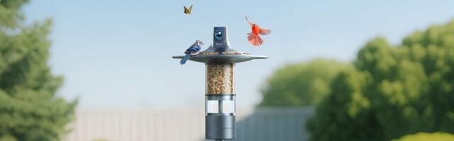 No Avian Will Escape This 360-Camera Bird Feeder
