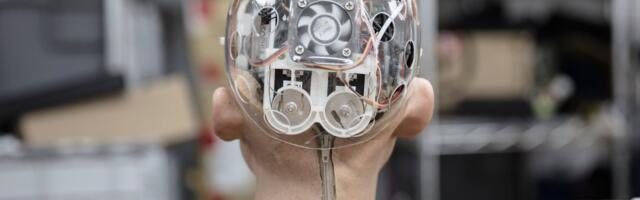 Should AI steal your job?