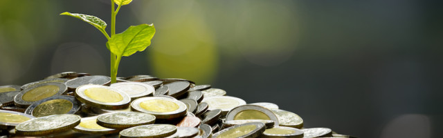 7 Keys to Scaling a Startup into a Thriving Business