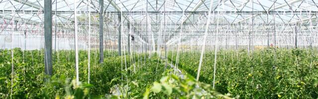 Supernova Invest and Crédit Agricole launch €60M agri-agrotech fund